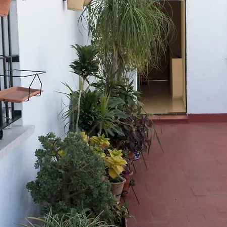 Apartamento R&m C/sierpes 46 Sevilla